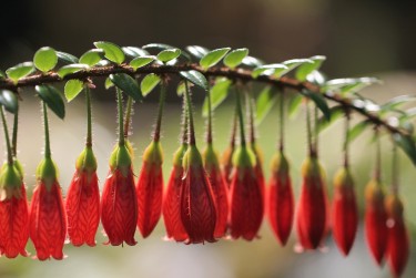 广州白云区7私人快速借钱网，轻松解决资金难题