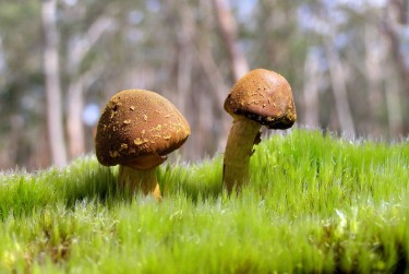 广州白云区7私人老板放款：轻松融资的秘密通道